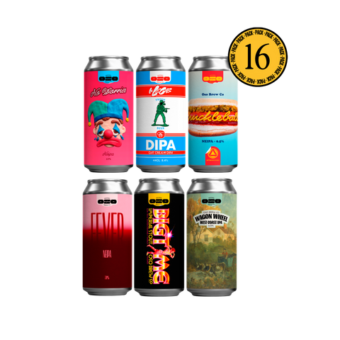 Oso 16 Pack Novedades