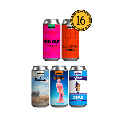 Oso 16 Pack Novedades