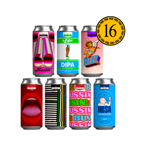 Oso 16 Pack Novedades